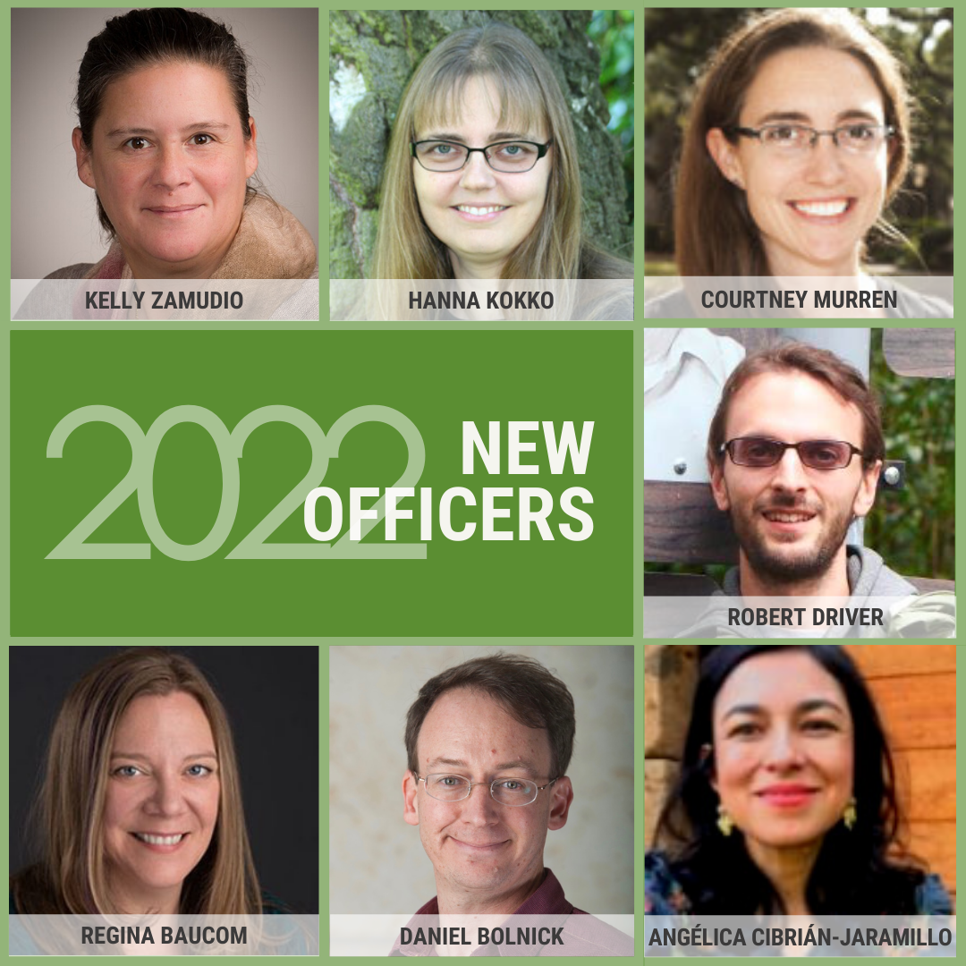 A grid of squares showing head and shoulders photos of Kelly Zamudio, Hanna Kokko, Courtney Murren, Robert Driver, Regina Baucom, Daniel Bolnick, and Angelica Cibiran-Jaramillo on a green background with the words 2022 New Officers in white text.